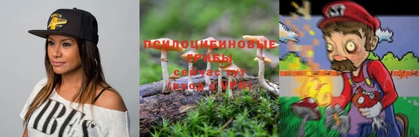 mdpv Белокуриха