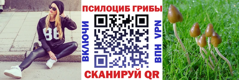 Галлюциногенные грибы Magic Shrooms  Болохово 